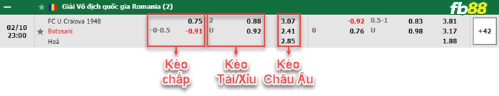 Fb88 bảng kèo trận đấu U Craiova 1948 vs FC Botosani