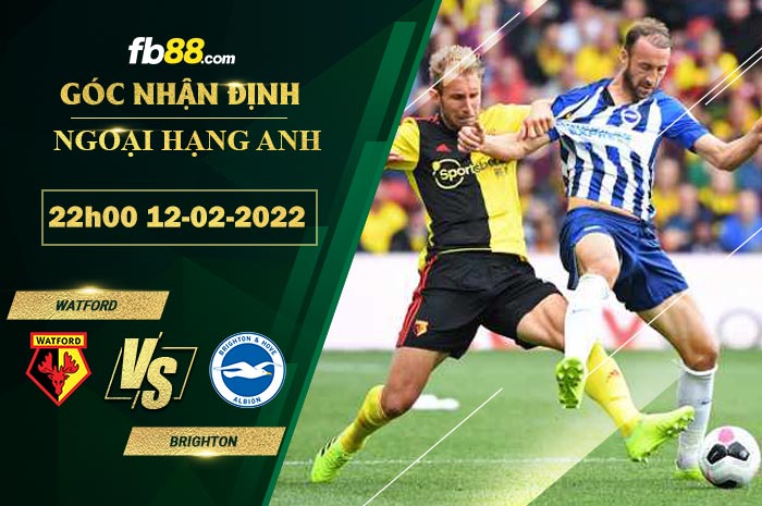 Fb88 soi kèo trận đấu Watford vs Brighton