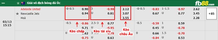 fb88-bảng kèo trận đấu Adelaide Utd vs Newcastle Jets