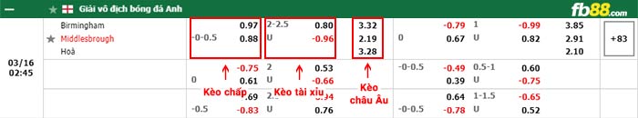 fb88-bảng kèo trận đấu Birmingham vs Middlesbrough