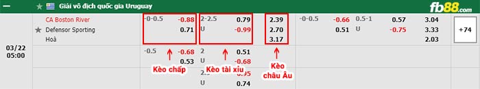 fb88-bảng kèo trận đấu Boston River vs Defensor