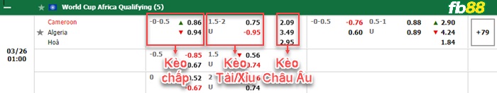 Fb88 bảng kèo trận đấu Cameroon vs Algeria