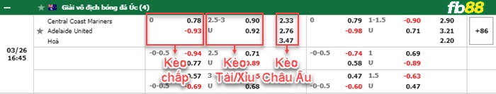 Fb88 bảng kèo trận đấu Central Coast vs Adelaide