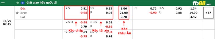 fb88-bảng kèo trận đấu Duc vs Israel