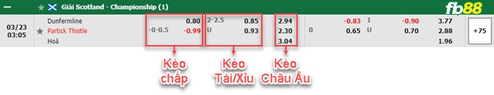Fb88 bảng kèo trận đấu Dunfermline vs Partick Thistle
