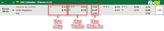 Fb88 bảng kèo trận đấu Jaguares vs Union Magdalena