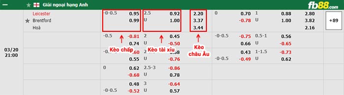 fb88-bảng kèo trận đấu Leicester vs Brentford