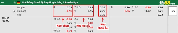 fb88-bảng kèo trận đấu Meppen vs Duisburg