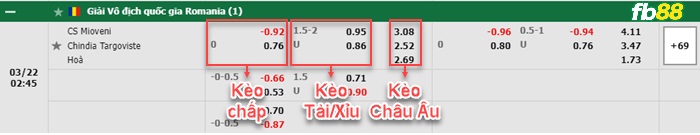 Fb88 bảng kèo trận đấu Mioveni vs Chindia Targoviste