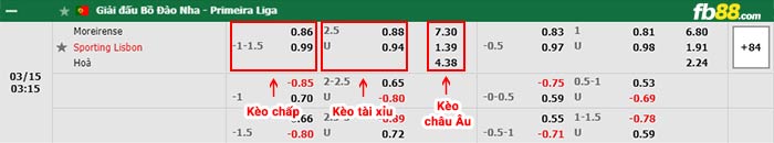 fb88-bảng kèo trận đấu Moreirense vs Sporting Lisbon