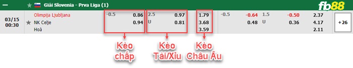 Fb88 bảng kèo trận đấu Olimpija Ljubljana vs Celje