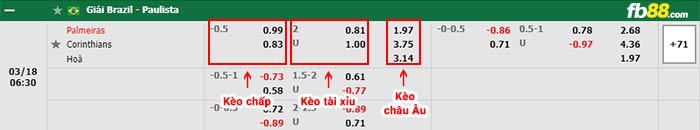 fb88-thông số trận đấu Feyenoord vs Partizan