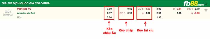 fb88-bảng kèo trận đấu Patriotas vs America de Cali
