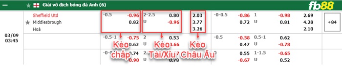 Fb88 bảng kèo trận đấu Sheffield United vs Middlesbrough