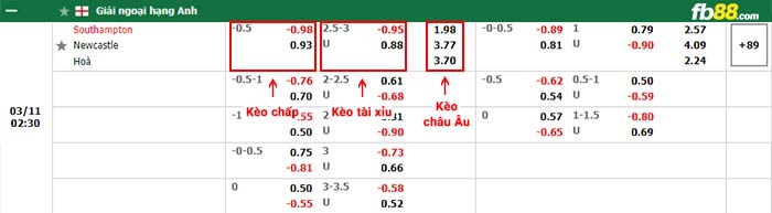 fb88-bảng kèo trận đấu Southampton vs Newcastle