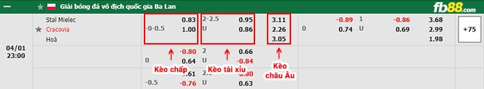 fb88-bảng kèo trận đấu Stal Mielec vs Cracovia Krakow