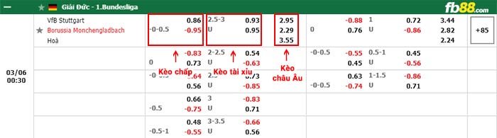 fb88-bảng kèo trận đấu Stuttgart vs Monchengladbach