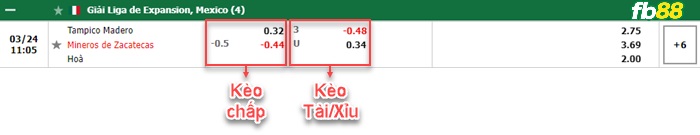 Fb88 bảng kèo trận đấu Tampico Madero vs Mineros Zacatecas