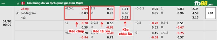 fb88-bảng kèo trận đấu Viborg vs Sonderjyske