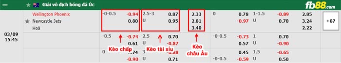 fb88-bảng kèo trận đấu Wellington Phoenix vs Newcastle Jets