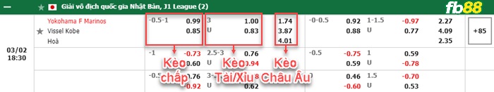 Fb88 bảng kèo trận đấu Yokohama F Marinos vs Vissel Kobe