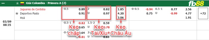 Fb88 bảng kèo trận đấu Jaguares vs Deportivo Pasto