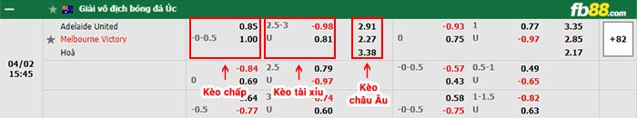 fb88-bảng kèo trận đấu Adelaide vs Melbourne Victory