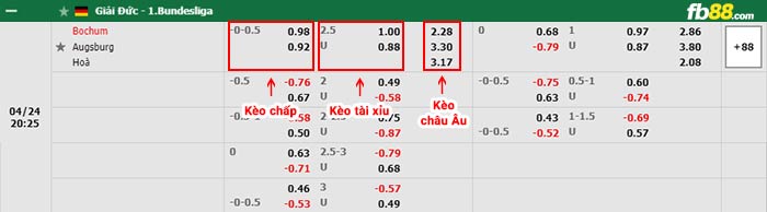 fb88-bảng kèo trận đấu Bochum vs Augsburg