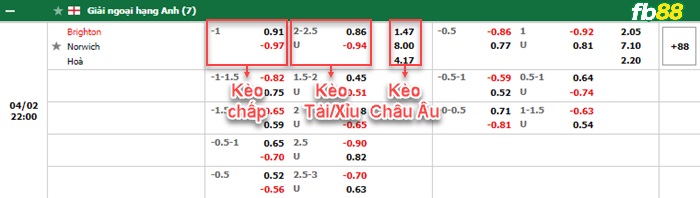 Fb88 bảng kèo trận đấu Brighton vs Norwich City
