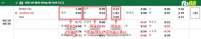 Fb88 bảng kèo trận đấu Bristol City vs Sheffield United