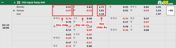 fb88-bảng kèo trận đấu Burnley vs Wolves