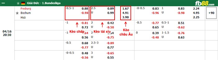 fb88-bảng kèo trận đấu Freiburg vs Bochum