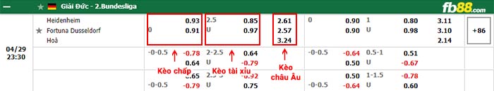 fb88-bảng kèo trận đấu Heidenheim vs Fortuna