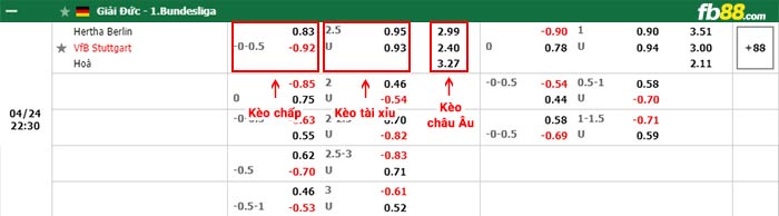 fb88-bảng kèo trận đấu Hertha Berlin vs Stuttgart
