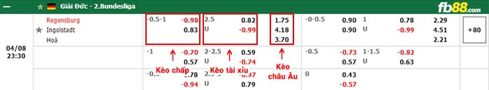 fb88-bảng kèo trận đấu Jahn Regensburg vs Ingolstadt