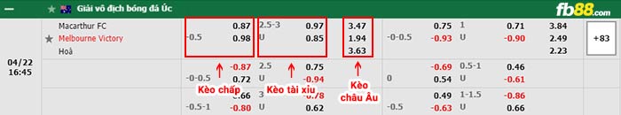 fb88-bảng kèo trận đấu Macarthur vs Melbourne Victory