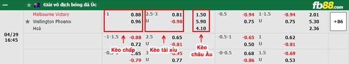 fb88-bảng kèo trận đấu Melbourne Victory vs Wellington Phoenix