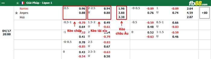 fb88-bảng kèo trận đấu Nantes vs Angers