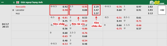 fb88-bảng kèo trận đấu Newcastle vs Leicester
