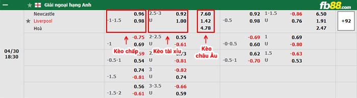 fb88-bảng kèo trận đấu Newcastle vs Liverpool