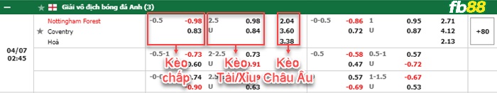 Fb88 bảng kèo trận đấu Nottingham Forest vs Coventry