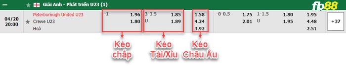 Fb88 bảng kèo trận đấu Peterborough U23 vs Crewe U23