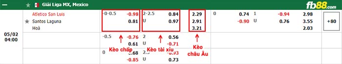 fb88-bảng kèo trận đấu San Luis vs Santos Laguna