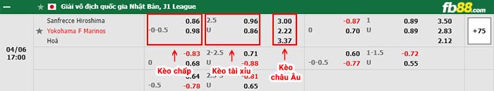 fb88-bảng kèo trận đấu Sanfrecce Hiroshima vs Yokohama F Marinos