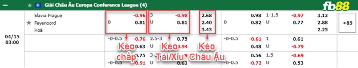 Fb88 bảng kèo trận đấu Slavia Praha vs Feyenoord