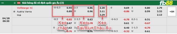 Fb88 tỷ lệ kèo trận đấu Sturm Graz vs Salzburg