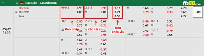 fb88-bảng kèo trận đấu Bochum vs Arminia Bielefeld