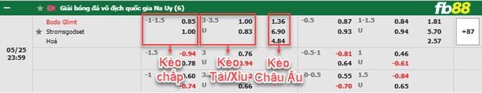 Fb88 bảng kèo trận đấu Bodo Glimt vs Stromsgodset