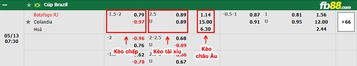 fb88-bảng kèo trận đấu Botafogo vs Ceilandia