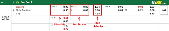 fb88-bảng kèo trận đấu Cruzeiro vs Remo Belem